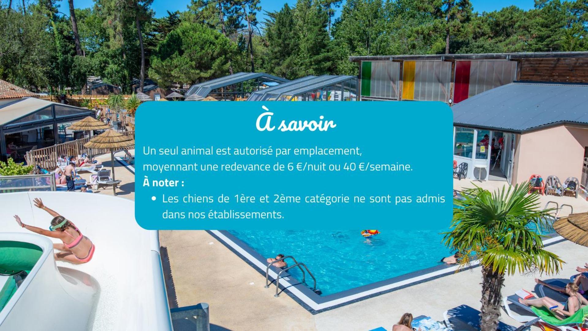 Camping Signol Boyardville Екстер'єр фото
