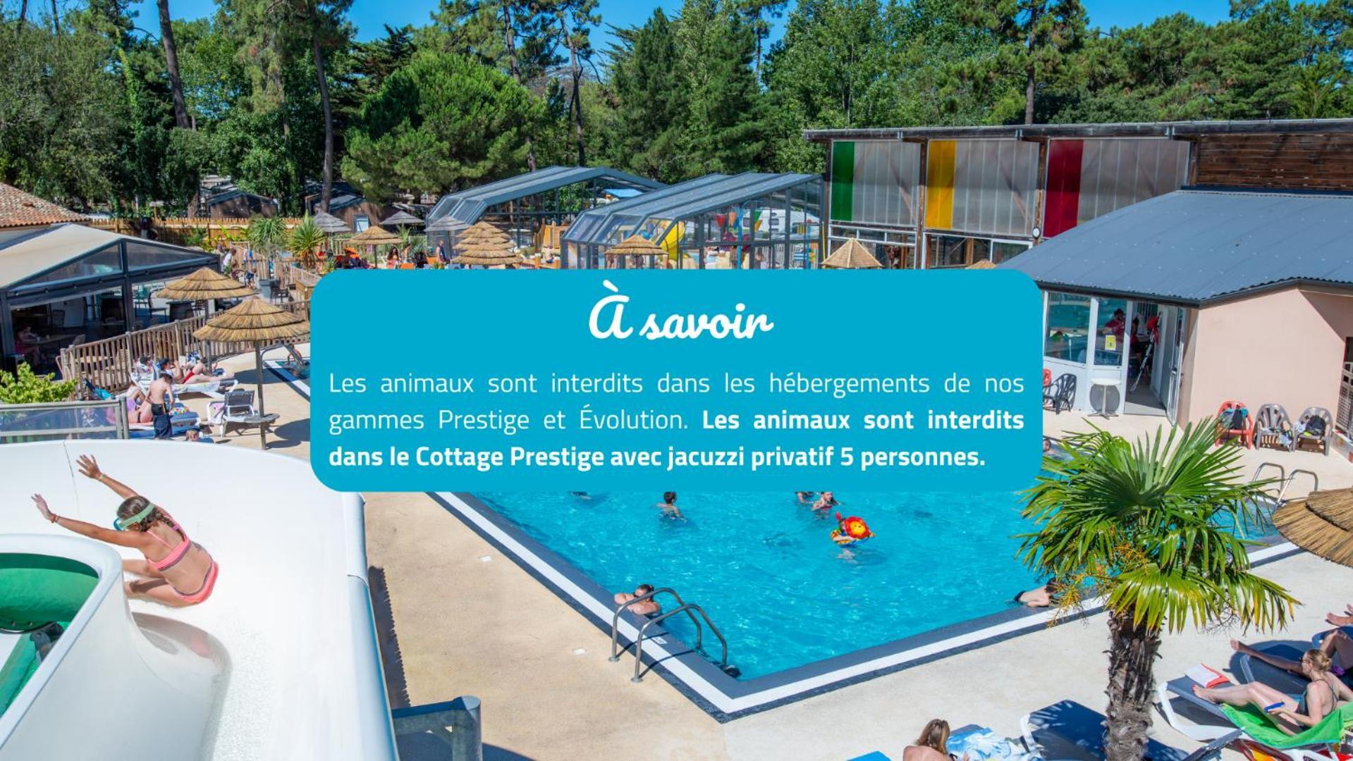 Camping Signol Boyardville Екстер'єр фото